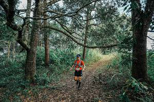 BIB: 
                            <button type="button" onclick="openModal(25662664)" class="btn btn-primary btn-sm float-right btn-popup" data-toggle="modal" data-target=".modal-high-quality">
                        <i class="fas fa-shopping-cart"></i> Add to Cart
                    </button>
                                            <button type="button" onclick="isThisMe(25662664, true)" class="btn btn-success btn-sm float-right btn-popup btn-isme hidden" data-toggle="tooltip" data-placement="bottom" title="นี่คือรูปของคุณใช่ไหม คลิกที่นี่เพื่อเอาเข้าอัลบั้ม">
                        <i class="fas fa-plus"></i> Add to album
                    </button>
                    <button type="button" onclick="isThisMe(25662664, false)" class="btn btn-warning btn-sm float-right btn-popup btn-isnotme hidden">
                        <i class="fas fa-ban"></i> Remove from album
                    </button>